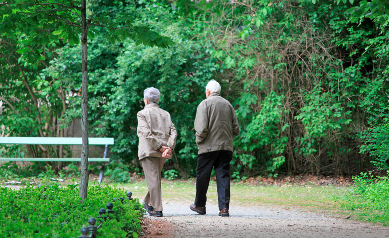 Alemania, Destatis, Instituto Federal de Investigación Demográfica, envejecimiento población Alemania demografía 2025, tasa natalidad Alemania caída, baby boomers jubilación Alemania, inmigración Alemania mercado laboral, sistema pensiones Alemania crisis, población Alemania 2070 pronóstico, Destatis estadísticas población alemana