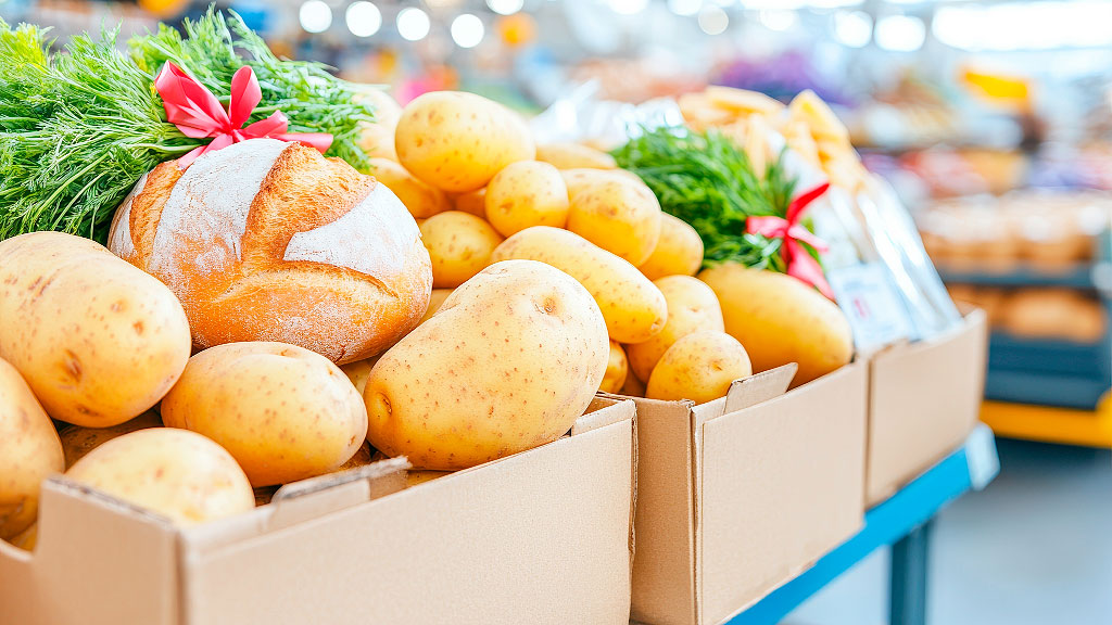 papas, empresa agrícola, Alemania, Osterland Agrar GmbH, Kartoffel-Flut, Frohburg, cosecha récord Alemania, excedente papas, agricultura alemana, distribución gratuita alimentos, crisis agrícola, Kartoffel-Flut, producción papas Alemania, Berlín distribución alimentos, agricultores alemanes