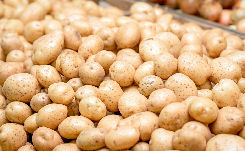 papas, empresa agrícola, Alemania, Osterland Agrar GmbH, Kartoffel-Flut, Frohburg, cosecha récord Alemania, excedente papas, agricultura alemana, distribución gratuita alimentos, crisis agrícola, Kartoffel-Flut, producción papas Alemania, Berlín distribución alimentos, agricultores alemanes