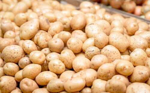 papas, empresa agrícola, Alemania, Osterland Agrar GmbH, Kartoffel-Flut, Frohburg, cosecha récord Alemania, excedente papas, agricultura alemana, distribución gratuita alimentos, crisis agrícola, Kartoffel-Flut, producción papas Alemania, Berlín distribución alimentos, agricultores alemanes