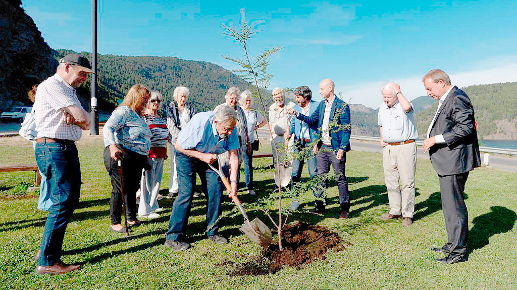 Dieter Lamlé, San Martín de los Andes, Villa La Angostura, embajador alemán Argentina, bicentenario inmigración alemana, San Martín de los Andes, Villa La Angostura, relaciones Argentina Alemania, descendientes alemanes Argentina, comunidad germano-argentina, Neuquén Patagonia, cooperación bilateral Argentina Alemania