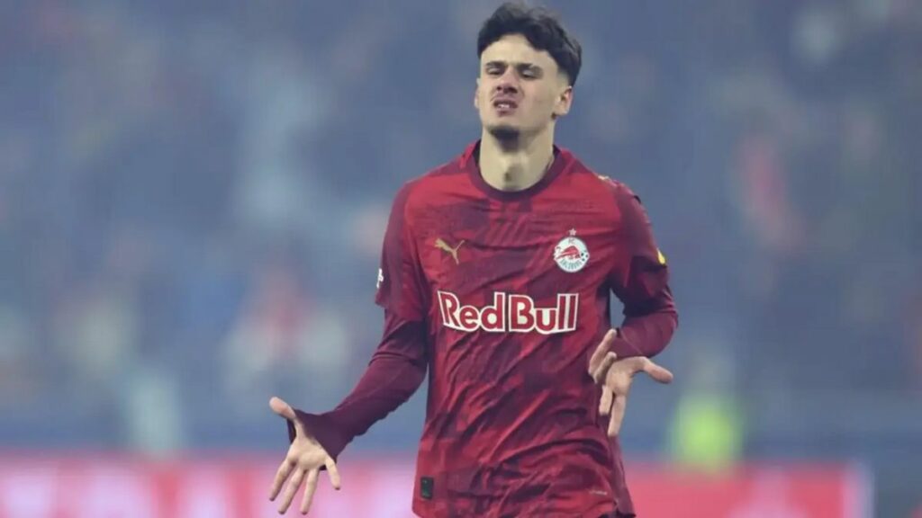 Kerim Alajbegovic