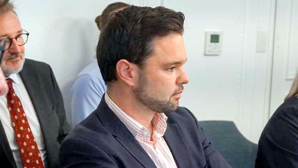 Stiftung Verbundenheit, Fundación Konrad Adenauer, Fundación Hanns Seidel, Bernd Fabritius, comunidad germanoparlante argentina, BMI