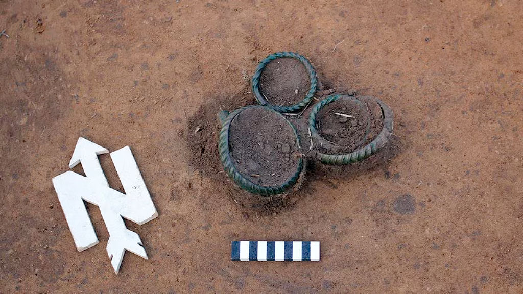 Anillos de bronce, Wilschdorf, Edad de Bronce, hallazgo arqueológico Sajonia, Edad de Bronce Alemania, Wilschdorf descubrimiento, ofrendas rituales prehistóricas, Landesamt für Archäologie Sachsen, detectorista Alemania, joyas prehistóricas Europa Central, arqueología alemana 2026