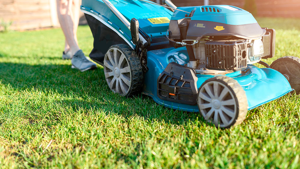 Bannewitz, Lingotes de oro, Sajonia, hallazgo de oro Alemania, tesoro encontrado Sajonia, empleado municipal lingotes oro, Finderfrist Alemania, ley alemana objetos perdidos, Heiko Wersig intendente Bannewitz, 40.000 euros oro hallazgo, asociaciones civiles Vereine