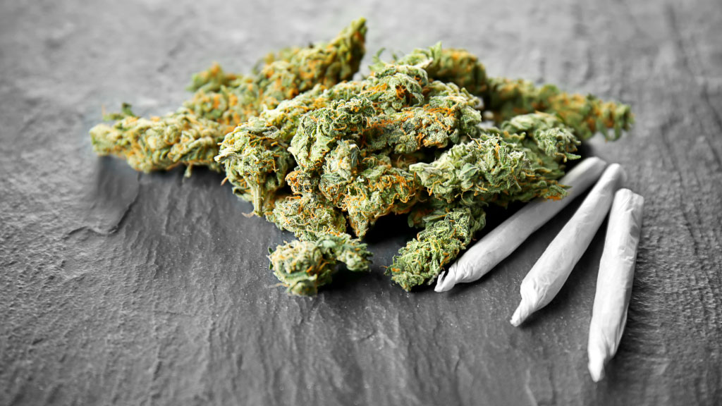 cannabis, Alemania, legalización, informe, política de drogas, Europa, Nina Warken