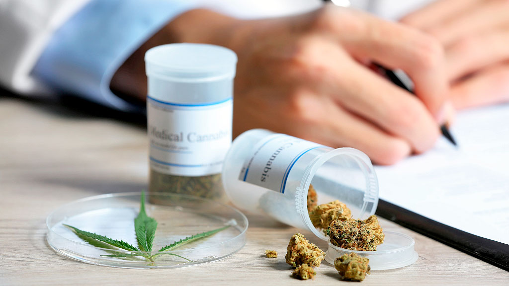 cannabis, Alemania, legalización, informe, política de drogas, Europa, Nina Warken