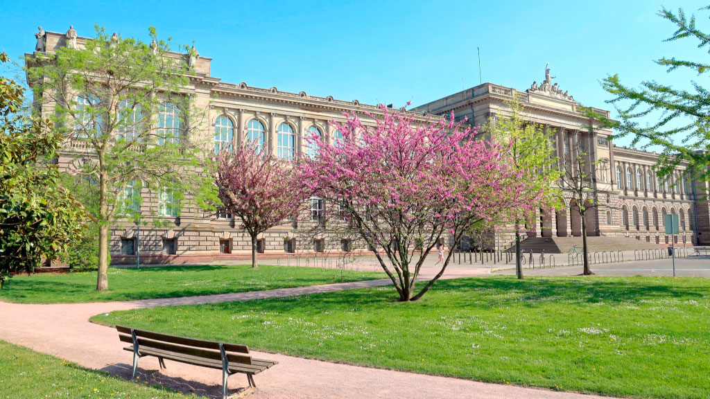 DAAD, Estudiar en Alemania, becas, universidades alemanas, intercambio académico Argentina, estudiar en Europa, becas posgrado Alemania