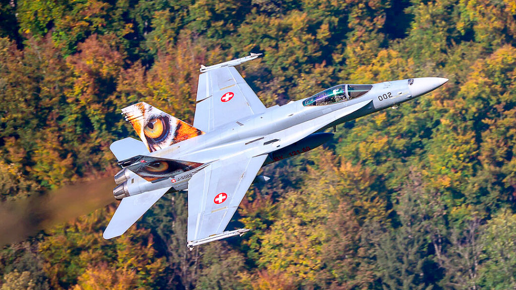 Suiza, democracia directa, consultas populares, votaciones populares, referéndums suizos, iniciativa popular Suiza, vacas con cuernos referéndum, Armin Capaul, IG Hornkuh, prohibición absenta Suiza, hada verde licor, cazas F/A-18 Meiringen, domingos sin autos Suiza, derecho matrimonial suizo 1985, historia política Suiza