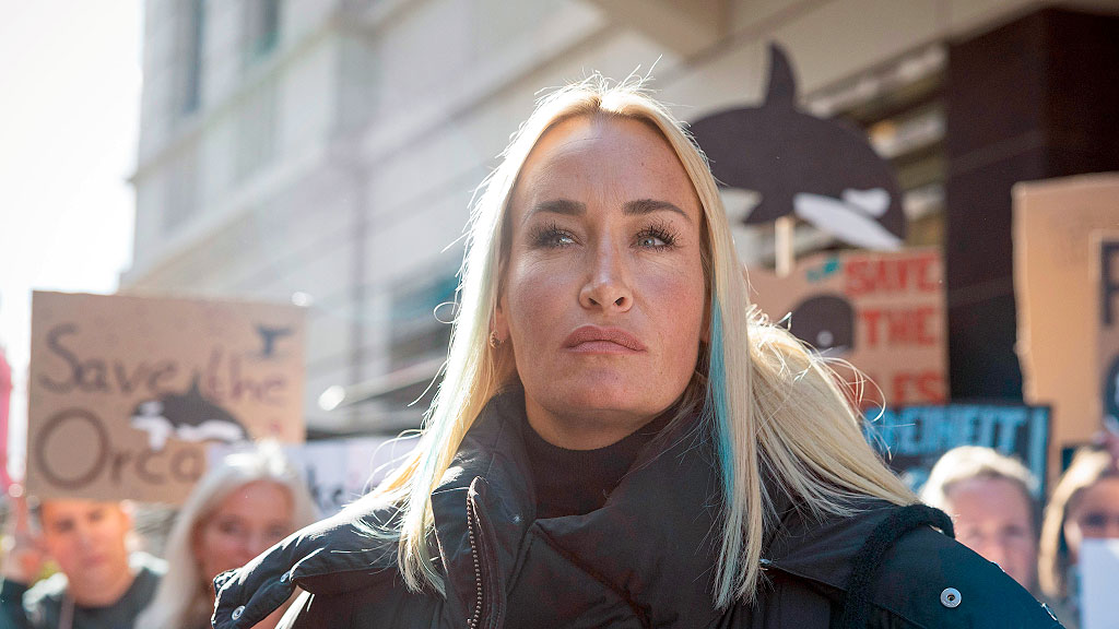 Timmy, Ballena jorobada, Mar Báltico, ballena varada Alemania, Timmy ballena Báltico, ballena jorobada mar Báltico, rescate ballena Wismar, ballena Poel Alemania