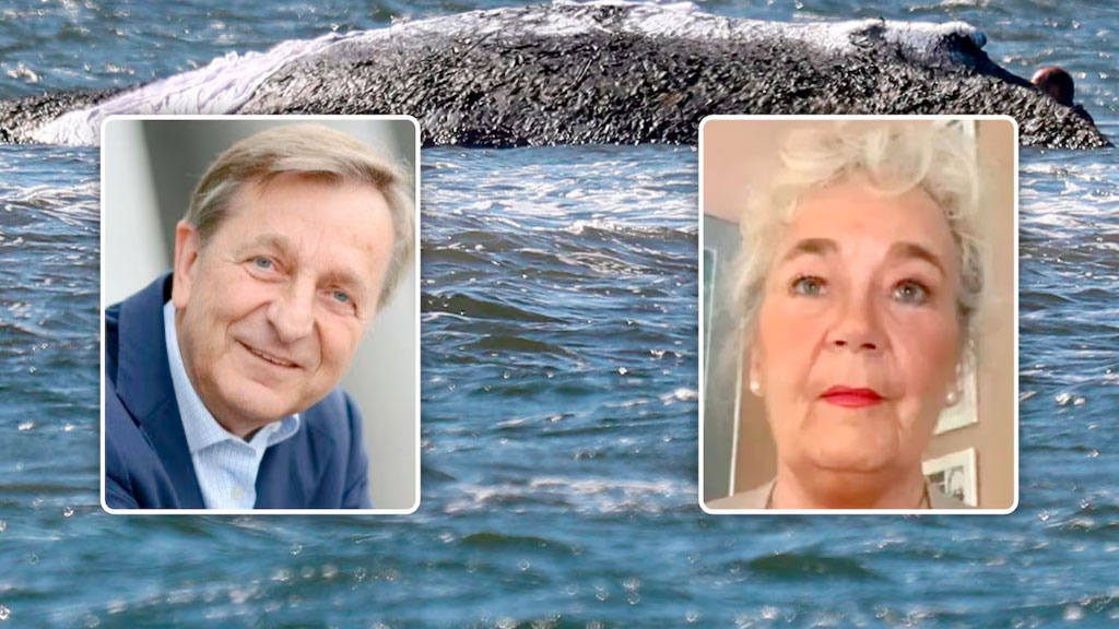 ballena, misión, Timmy, Rescate de ballena, Atlántico, ballena varada Báltico, operativo de rescate Timmy, Karin Walter-Mommert, Walter Gunz Media Markt, Mecklemburgo-Pomerania Occidental, Kerstin Tönnies, Till Backhaus, Fortuna B remolcador, Buckelwal Ostsee