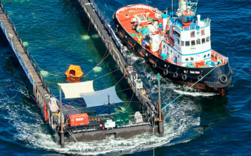 ballena, misión, Timmy, Rescate de ballena, Atlántico, ballena varada Báltico, operativo de rescate Timmy, Karin Walter-Mommert, Walter Gunz Media Markt, Mecklemburgo-Pomerania Occidental, Kerstin Tönnies, Till Backhaus, Fortuna B remolcador, Buckelwal Ostsee