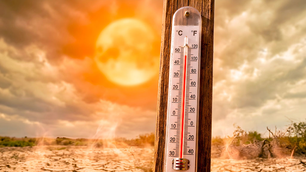 Alemania, Cambio climático, Calor extremo, impacto económico del calor en Alemania, cambio climático en Alemania, olas de calor en Europa, economía alemana y clima, Allianz Trade, pérdidas económicas por calor extremo, productividad laboral y calor, crisis climática europea, costos energéticos en Alemania, temperaturas extremas, adaptación climática, infraestructura alemana, PBI alemán, cambio climático y economía, calor extremo Europa, el calor extremo podría costarle miles de millones a Alemania, impacto económico de las olas de calor en Alemania, Alemania perdería hasta 3% del PBI por el calor extremo, Allianz Trade advierte sobre el costo climático, cómo afecta el calor extremo a la economía alemana