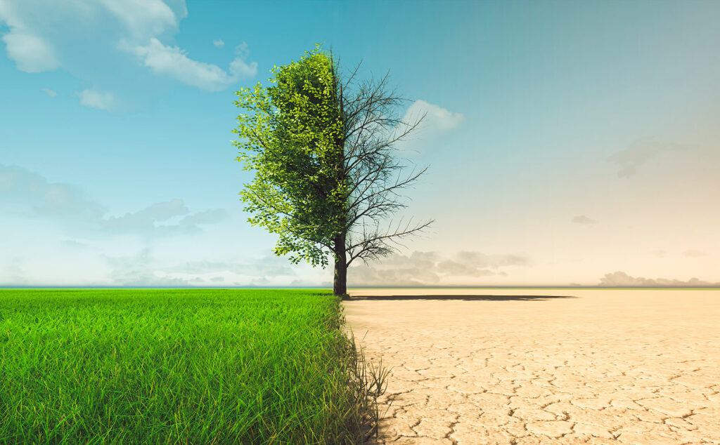 Alemania, Cambio climático, Calor extremo, impacto económico del calor en Alemania, cambio climático en Alemania, olas de calor en Europa, economía alemana y clima, Allianz Trade, pérdidas económicas por calor extremo, productividad laboral y calor, crisis climática europea, costos energéticos en Alemania, temperaturas extremas, adaptación climática, infraestructura alemana, PBI alemán, cambio climático y economía, calor extremo Europa, el calor extremo podría costarle miles de millones a Alemania, impacto económico de las olas de calor en Alemania, Alemania perdería hasta 3% del PBI por el calor extremo, Allianz Trade advierte sobre el costo climático, cómo afecta el calor extremo a la economía alemana