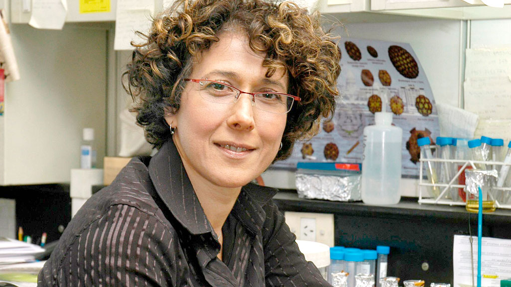 IBioBA, Sociedad Max Planck, CONICET, Frontiers in Bioscience, IBioBA CONICET Max Planck, cooperación científica Argentina Alemania, Damián Refojo, Moritz Helmstaedter, Sociedad Max Planck América Latina, biociencias Argentina, FOCEM Mercosur biomedicina, Andrea Gamarnik dengue, Peter Mombaerts, simposio biomedicina Buenos Aires