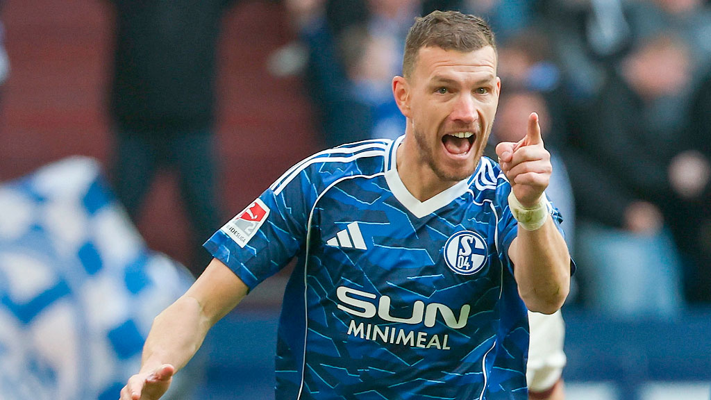 Schalke 04, Bundesliga, Felipe Sánchez, Schalke 04 campeón, ascenso Schalke 04, 2. Bundesliga campeón 2025/26, Felipe Sánchez Schalke, Edin Džeko Schalke, Miron Muslić Schalke, Loris Karius Schalke, regreso Schalke a la Bundesliga, clásico Schalke Borussia Dortmund, crisis Schalke 04