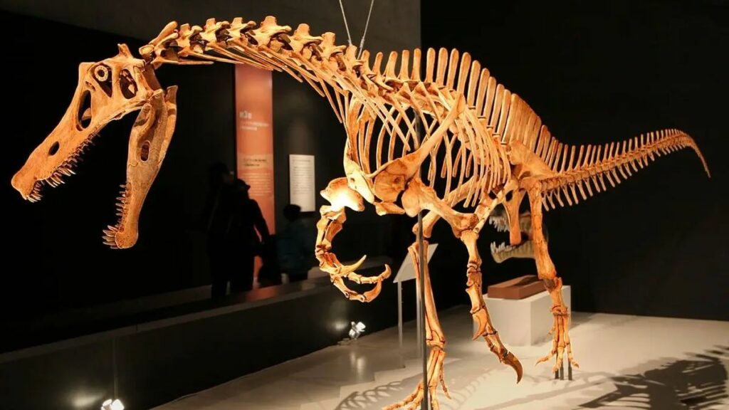 dinosaurio3