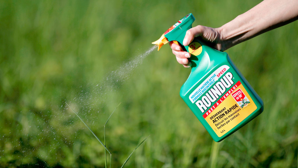Bayer glifosato Corte Suprema Estados Unidos, Bayer Roundup, fallo Corte Suprema Estados Unidos, glifosato, Roundup, Monsanto, EPA Estados Unidos, FIFRA, demandas contra Bayer, herbicida Roundup, cáncer y glifosato, litigios Bayer, John Durnell, etiquetado de pesticidas, Corte Suprema EEUU, Bayer Monsanto