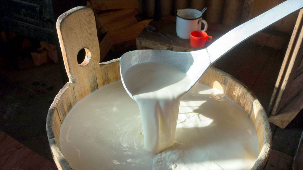 queso, Luise Tiemann, arqueología experimental, Universidad de Múnich, Edad de Piedra, Neolítico, Baviera, Philipp Stockhammer, Historia de la alimentación, Arqueología, Lactosa, Producción de queso, Suiza, Austria, Museo Bajuwarenhof, Cerámica prehistórica, Cómo hacían queso hace 7.000 años, Una arqueóloga alemana recrea técnicas prehistóricas para fabricar queso, El misterio del origen del queso en Europa Central, Qué revelan los recipientes de cerámica sobre la alimentación neolítica, La investigación que busca reconstruir la producción de queso en la Edad de Piedra
