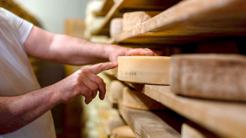 queso, Luise Tiemann, arqueología experimental, Universidad de Múnich, Edad de Piedra, Neolítico, Baviera, Philipp Stockhammer, Historia de la alimentación, Arqueología, Lactosa, Producción de queso, Suiza, Austria, Museo Bajuwarenhof, Cerámica prehistórica, Cómo hacían queso hace 7.000 años, Una arqueóloga alemana recrea técnicas prehistóricas para fabricar queso, El misterio del origen del queso en Europa Central, Qué revelan los recipientes de cerámica sobre la alimentación neolítica, La investigación que busca reconstruir la producción de queso en la Edad de Piedra