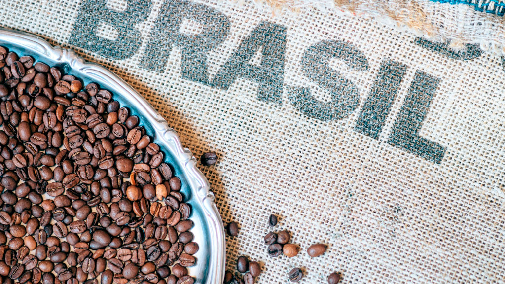 Suiza, café, exportaciones, Nespresso, Nestlé, Coffee Valley, Economía suiza, Comercio internacional, Café suizo, Cafeteras automáticas, Swiss Trade Monitor, Universidad de San Galo, Materias primas, Basilea, Sostenibilidad, Por qué Suiza es el segundo exportador mundial de café, Cómo un país que no cultiva café se convirtió en una potencia cafetera, El negocio multimillonario del café en Suiza, La historia detrás del café suizo y sus exportaciones, Suiza domina el mercado mundial del café sin producir un solo grano