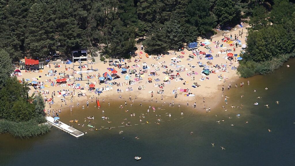 lago