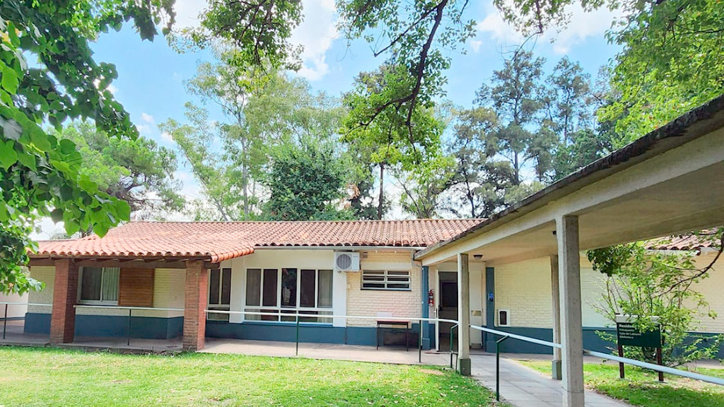 Centro Los Pinos, Salud, Inteligencia artificial, historias clínicas electrónicas, IA en geriatría, rehabilitación, cuidados paliativos, Beta_HC, OpenAI, innovación en salud, geriatría, rehabilitación neuromotora, realidad virtual en rehabilitación, atención médica, tecnología médica, salud digital
