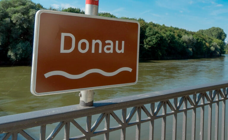 Danubio, Alemania, cianobacterias, algas verdeazules, algas azules, Kelheim, Baviera, contaminación del agua, agua contaminada, alerta sanitaria, perros intoxicados, muerte de un perro, calidad del agua, floración de cianobacterias, toxinas en el agua, riesgo para mascotas, riesgo para bañistas, río Danubio, cambio climático y ríos, salud ambiental
