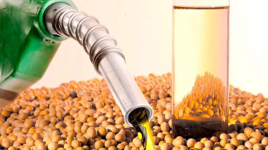 Europäischen Parlaments, Biodiesel, Argentinien, Europäische Union, EU-Kommission, iLUC, Soja, CIARA, CARBIO, VISEC, Nachhaltigkeit, Agrarwirtschaft, EU-Handel, Erneuerbare Energien, Landwirtschaft, Biodiesel Argentinien Europa, EU Parlament Biodiesel, iLUC Erklärung, Soja Nachhaltigkeit Argentinien, EU Biodiesel Verordnung, Biodiesel Exporte Argentinien, Argentinien EU Handel, Europäische Kommission Soja