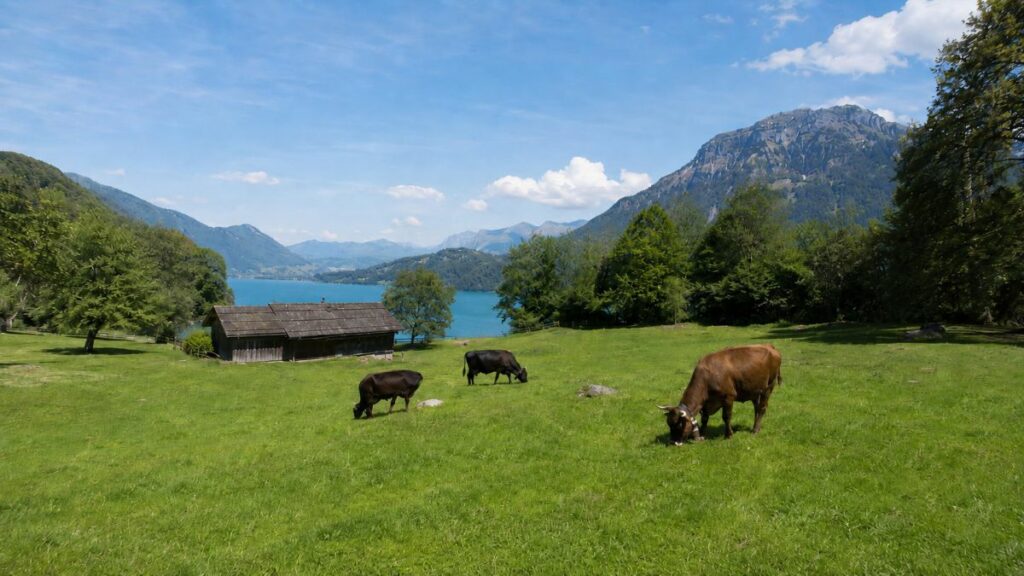 suiza