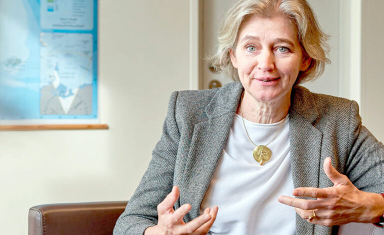 Catalina Cullas, Deutschland, Argentinien, Beziehungen zwischen Argentinien und Deutschland, deutsch-argentinische Beziehungen, deutsche Investitionen in Argentinien, deutsche Unternehmen in Argentinien, EU-Mercosur, EU-Mercosur-Abkommen, Deutschland-Mercosur, Vaca Muerta-Deutschland, deutsche Investitionen, Zusammenarbeit zwischen Deutschland und Argentinien, deutsch-argentinische Gemeinschaft, Deutsche Botschaft in Argentinien, Catalina Cullas, deutsche Botschafterin in Argentinien, Beziehungen zwischen Deutschland und Argentinien, deutsche Investitionen in Argentinien