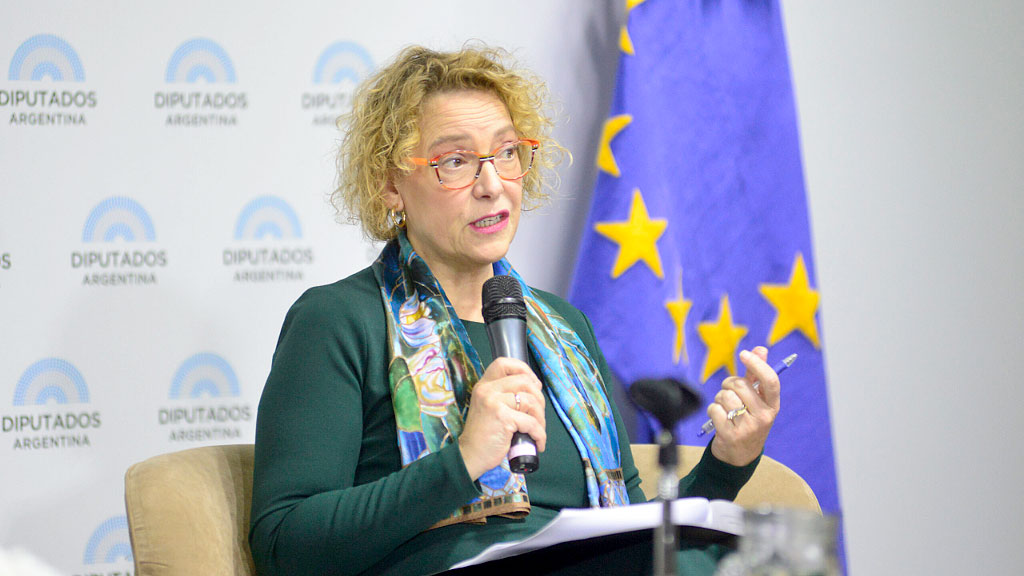 EU-Mercosur-Abkommens, Argentinien, Europäische Union, argentinische Exporte EU, EU-Standards Argentinien, Agrarhandel Argentinien EU, Lebensmittelstandards EU, EU-Agrarstandards, argentinisches Rindfleisch EU, argentinische Agrarprodukte, EUDR Argentinien, entwaldungsfreie Lieferketten, Rückverfolgbarkeit Argentinien, Mercosur Handel, EU-Mercosur Handel
