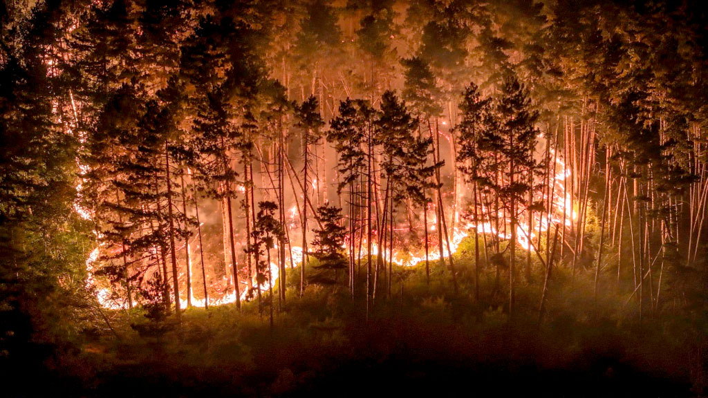 Alemania, Eifel, incendio forestal, incendio forestal en Alemania, incendio en la Eifel, incendio Hürtgenwald, Hürtgenwald, Eifel, incendios forestales Alemania, evacuación en Alemania, incendio Renania del Norte-Westfalia, Gey, incendio distrito de Düren, Bundeswehr incendio, ola de calor Alemania.