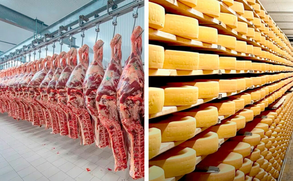 Mercosur, Schweiz, Argentinien, EFTA Mercosur Freihandelsabkommen, Argentinien Schweiz Handel, Schweizer Landwirtschaft, argentinisches Fleisch, Schweizer Käse, Schweizer Bauernverband, Mercosur Freihandel, Schweizer Exporte, Agrarhandel Schweiz Argentinien, Freihandelsabkommen Schweiz, Mercosur Schweiz 2026