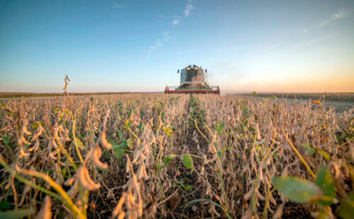 Austria, Soja, Argentina; sequía en Austria, soja de Austria, soja argentina, Argentina y Austria, cosecha de soja, importaciones de soja, producción de soja en Austria, sequía y agricultura, agricultura austríaca, Landwirtschaftskammer, soja europea, soja en Europa, dependencia de soja, soja del Mercosur, cambio climático en Austria.
