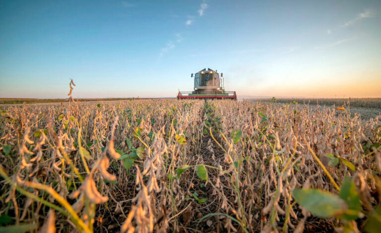 Austria, Soja, Argentina; sequía en Austria, soja de Austria, soja argentina, Argentina y Austria, cosecha de soja, importaciones de soja, producción de soja en Austria, sequía y agricultura, agricultura austríaca, Landwirtschaftskammer, soja europea, soja en Europa, dependencia de soja, soja del Mercosur, cambio climático en Austria.