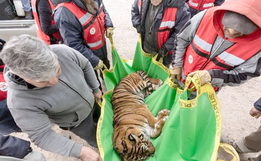 VIER PFOTEN, Zoo Luján