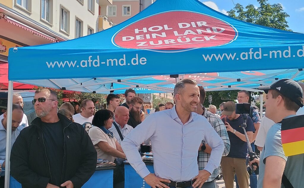 01-portada-afd-alemania