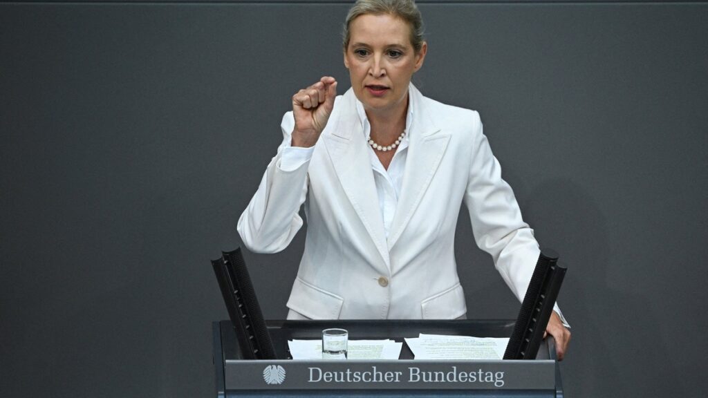 01-portada-afd-gas-ruso