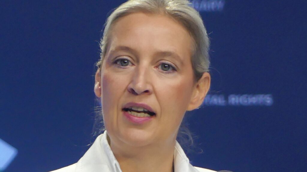 02-alice-weidel-afd