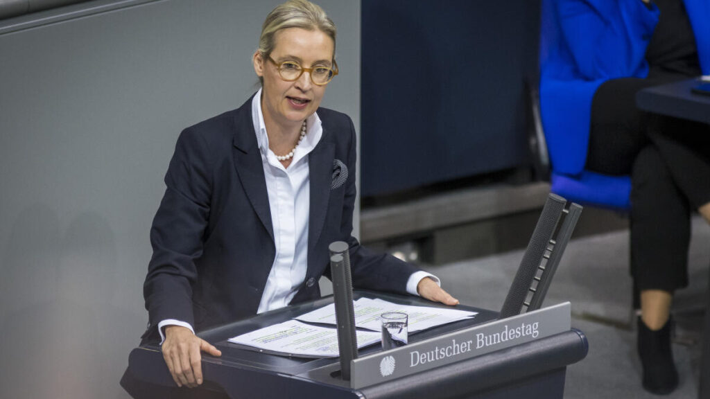 02-alice-weidel-afd-bundestag