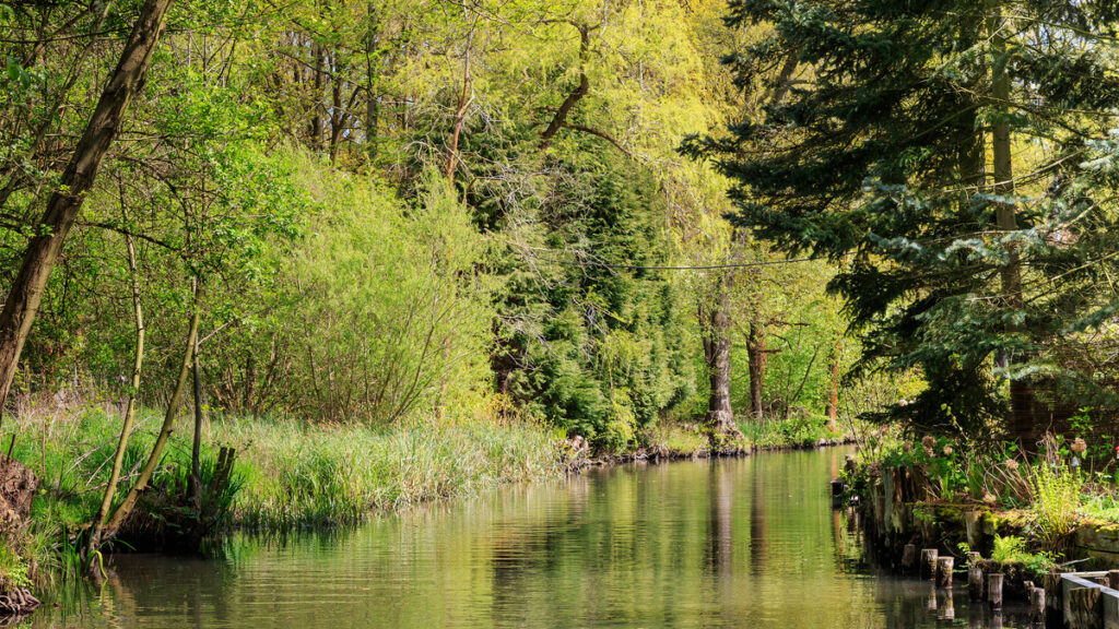 lusacia_rio_spree_1200x675