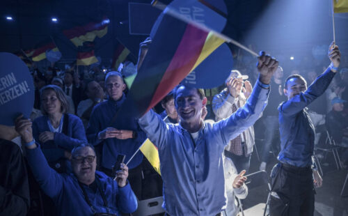 Simpatizantes de AfD