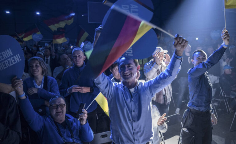 Simpatizantes de AfD