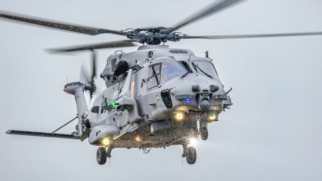 04-sea-tiger-1200x675